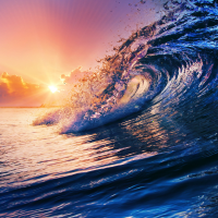 海浪花