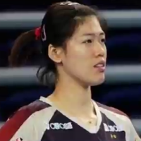 爱体育的女排金毛