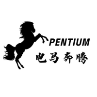 电马奔腾