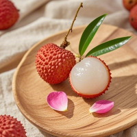 一只快乐的小绵羊