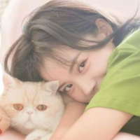 窦外星人来影剧