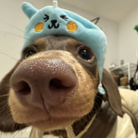 睡眠质检员