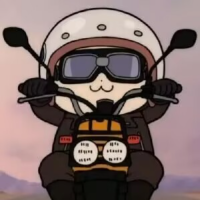 快乐的小鸟月栖鸟