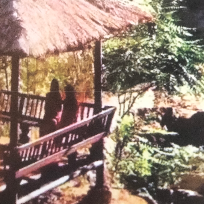 揭秘今朝风流人物