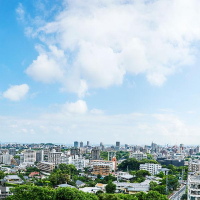 张起渗奥吖