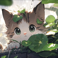 汽车碎碎念