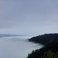 心河雨帆