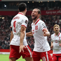 不吃牛肉拌香菜