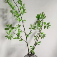 笙笙漫时光
