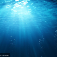 上官承言诺来聊