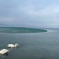 沐沐不是木木啊