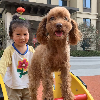 小萝莉的仙女棒