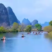 林深听风语