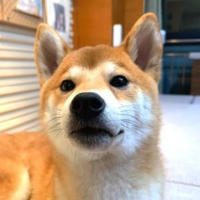 菌时奇闻堂