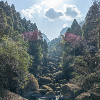 如果未来