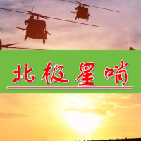 北极星哨
