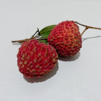 荔枝做饭日记