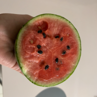 开心贵族一起追剧