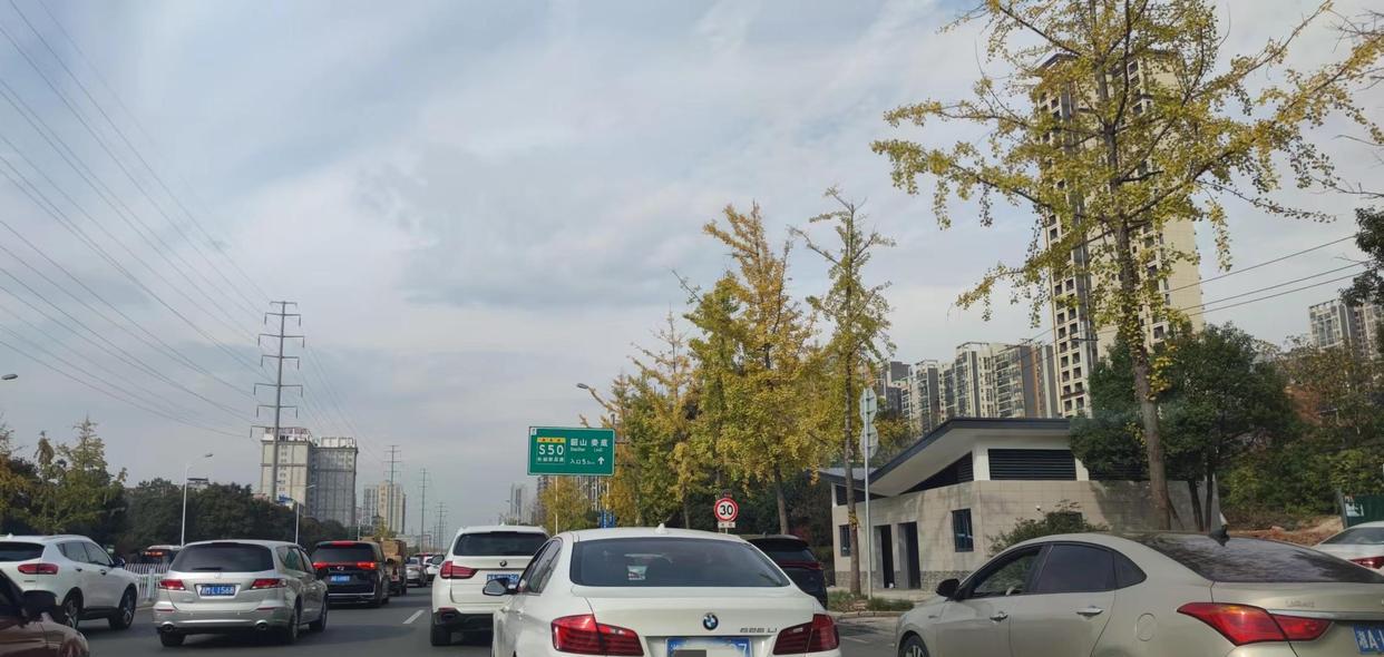 买车选白色还是黑色？二十年二手车商曝出保值率惊人差异