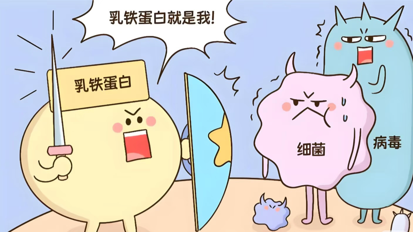 乳铁蛋白：育儿圈里的明星，到底值不值得追？