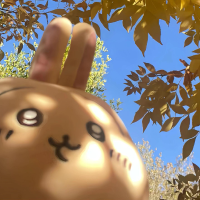星闻小灵通