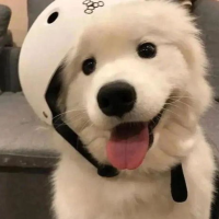 印剧中人生任逍遥