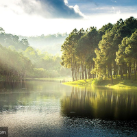 张起聊来来小吖