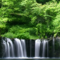 夏启铭来讲