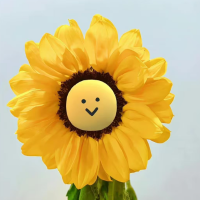 清风的说车日记