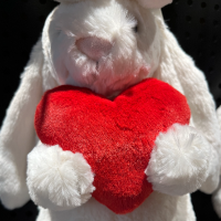 蔷薇花园与星星