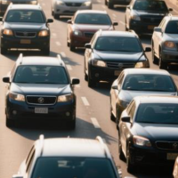 和车友一起看车