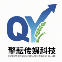 淮南市擎耘传媒科技有限公司