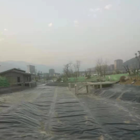 闲干农业忙干工业