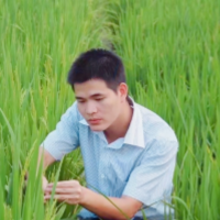 波仔游记