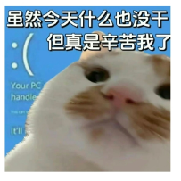 橘南冷沐