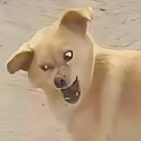 鱼雨鱼