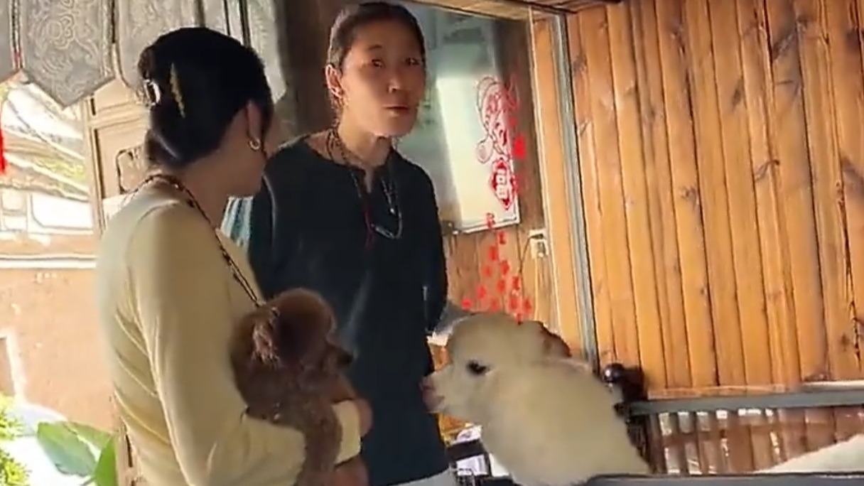 朱婷享受假期！手搂羊驼心情不错，姚迪陪伴，怀中小狗抢眼