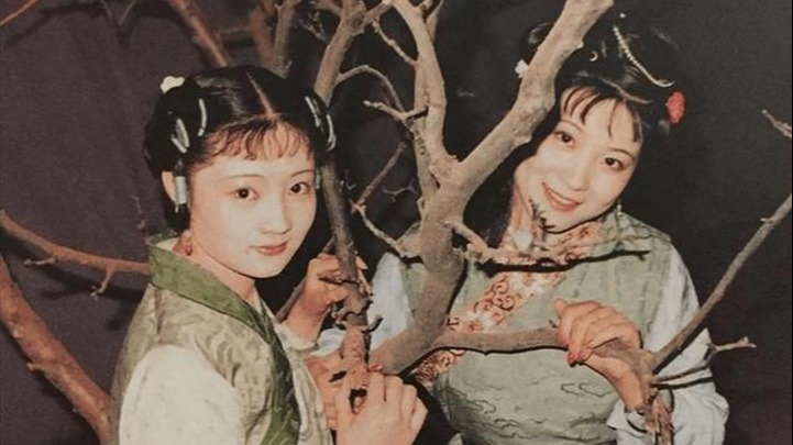 红楼梦：同是贾府丫鬟，彩云和彩霞为何性情大变？谁才是赵姨娘的“爪牙”？