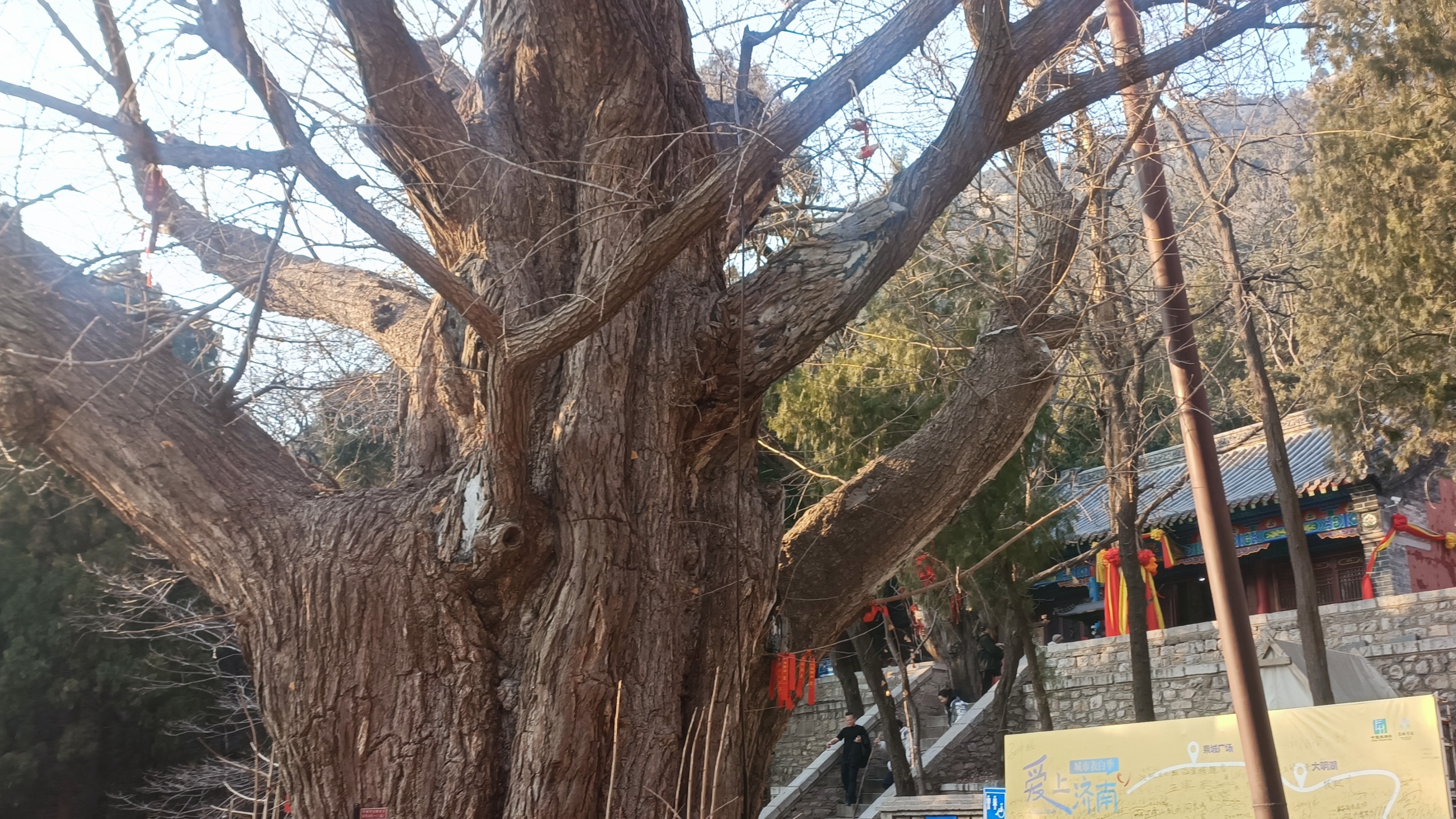 辩证复盘于谦：救大明于危亡，却栽在皇位继承与权力警觉，功过如何定论？