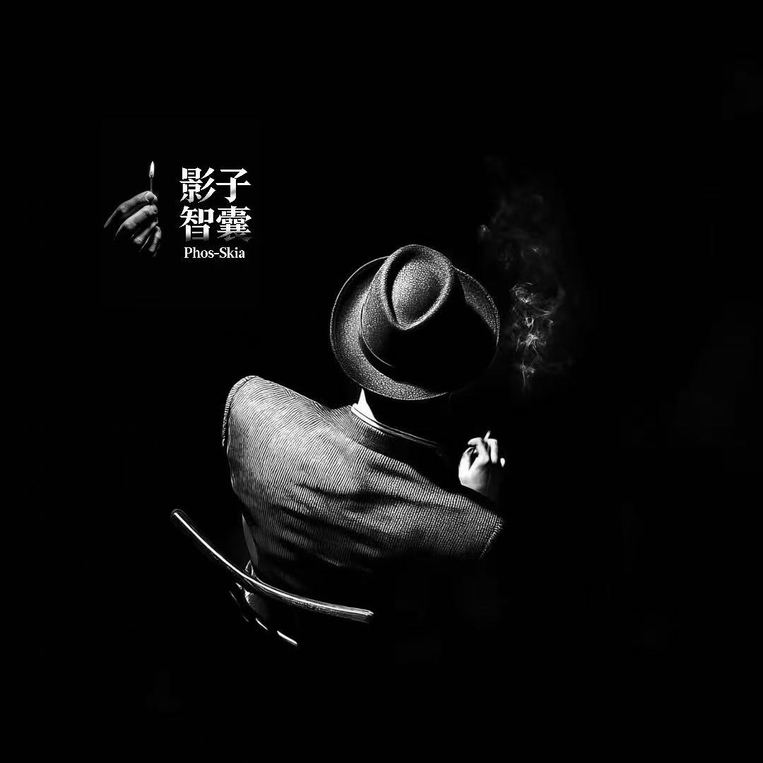 影子智囊