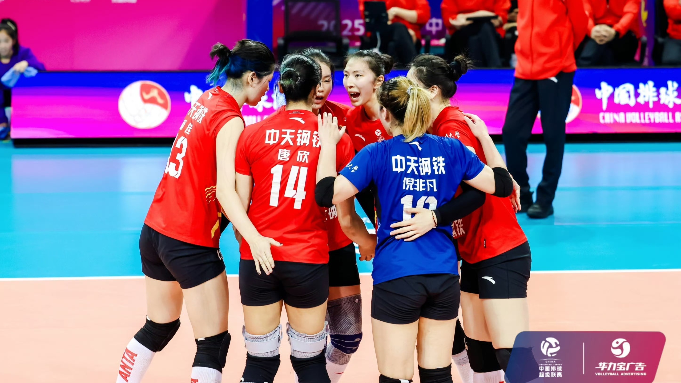 中国女排联赛最新排名！江苏屈居第二，天津掉到第五，辽宁又垫底