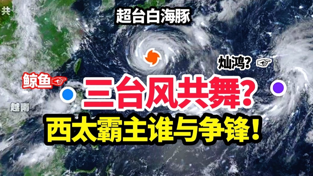 三台风共舞？超强台风白海豚登陆我国？14号鲸鱼被吞？15号灿鸿将生成？
