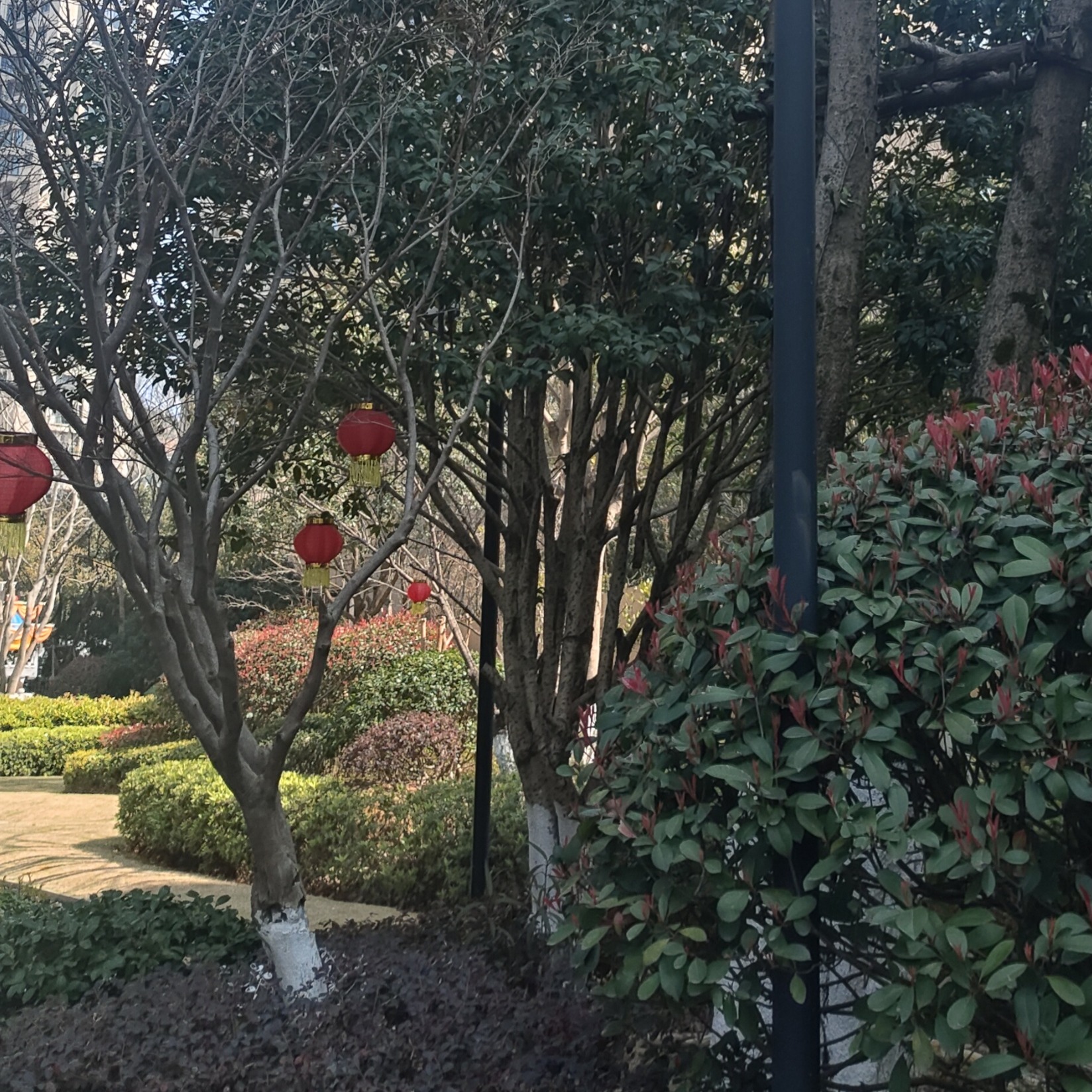 我爱吃传统食品