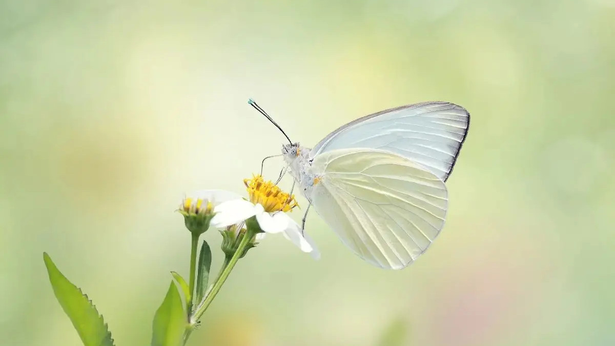 如何才能真正的发生改变？