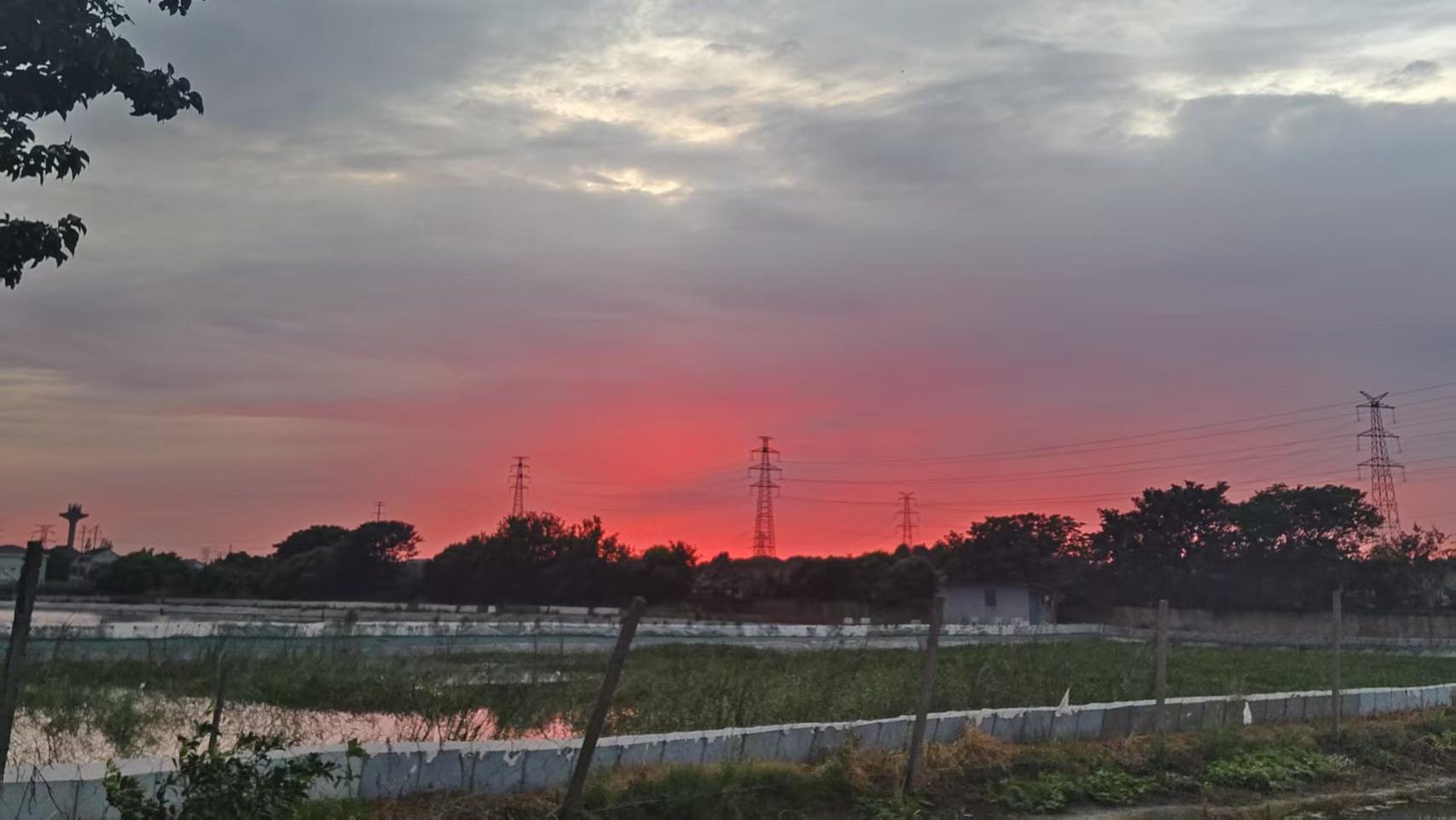 百代生物推出高通量siRNA活性筛选实验服务