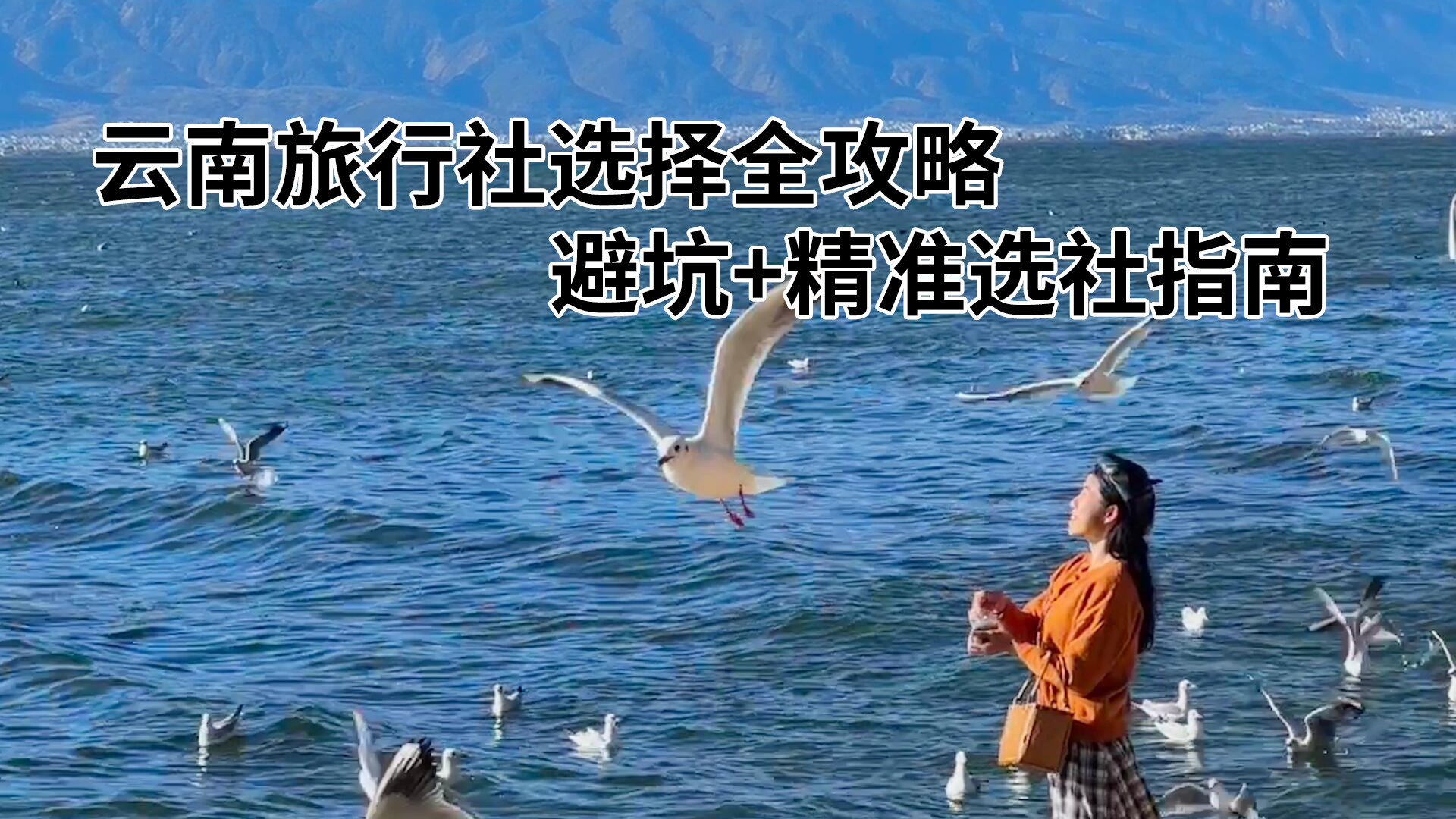 别再只看好评了！云南文旅局这份“黑名单”，才是你选旅行社的真正依据