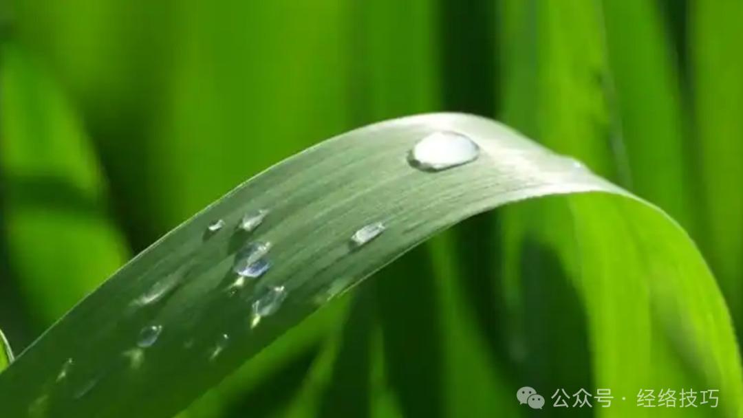 嘴唇干裂不仅是缺水！脾经上这两个地方多按按，燥去津生