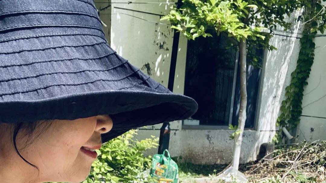 一笔清雅色，满目自然情——解析高燕翎写意花鸟