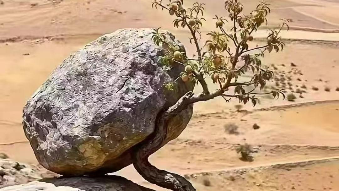 11个幽默小短句句句令人深思