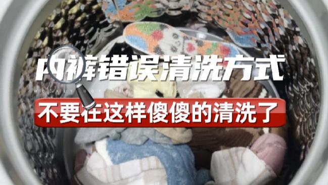 自动洗内裤机实用不？自动洗内裤机十大名牌排名排序！2026年十大风靡自动洗内裤机品牌排行榜分享！